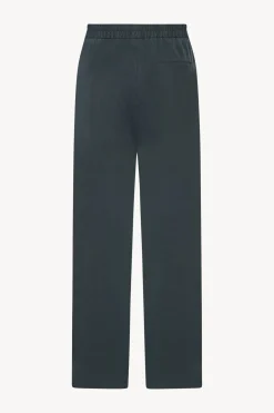 Ari Pant